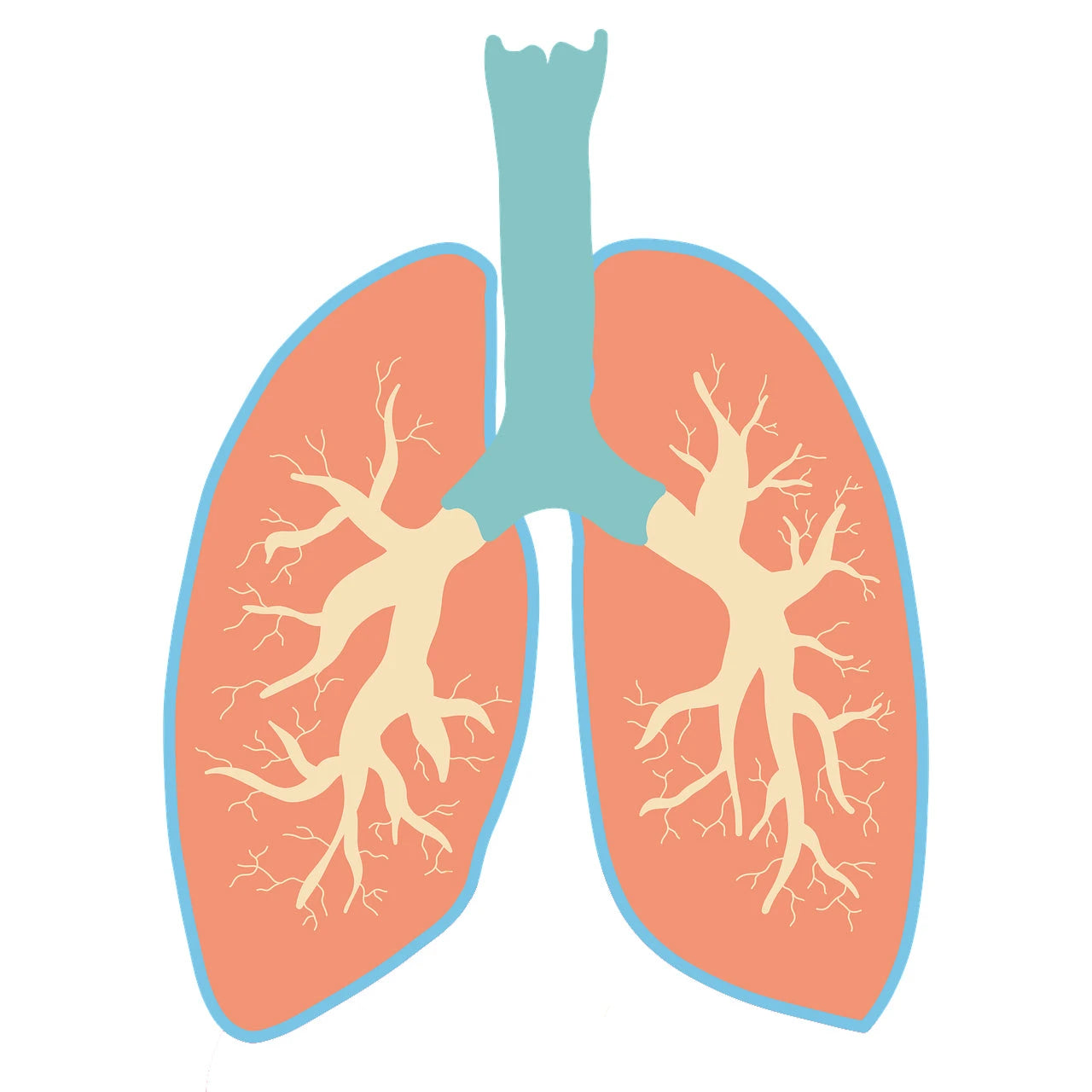 Asthma, Bronchitis & Respiratory