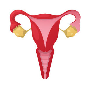 Women's Health