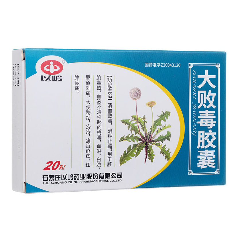 大败毒胶囊, Dabaidu Jiaonang, 0.5g * 20capsules, for Detoxification, Pain Relief & Skin Infections