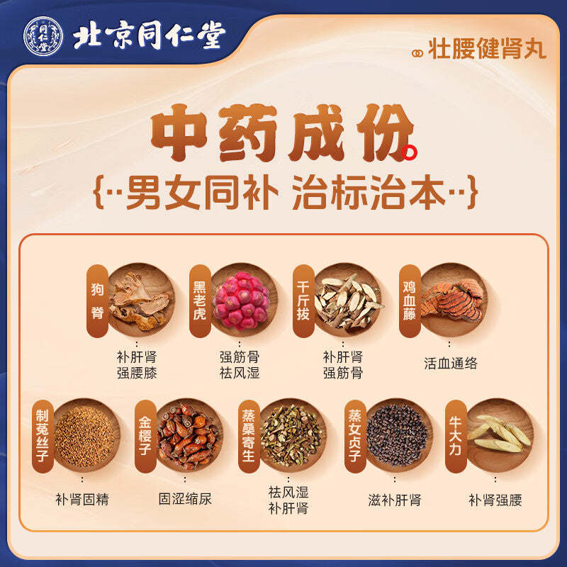 壮腰健肾丸, Zhuangyao Jianshen Wan, Zhuang Yao Jian Shen Wan, 5.6g*10 Pills